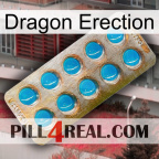 Dragon Erection new09